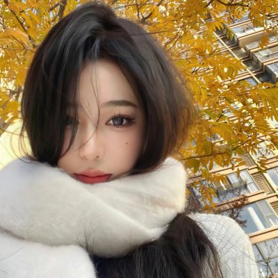 凯尔斯的秘密 在线观看